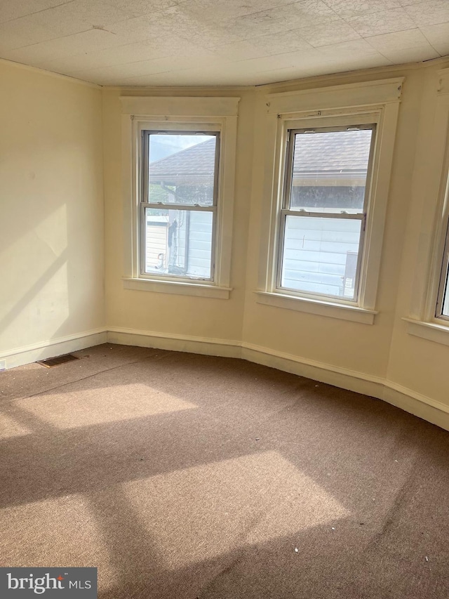 spare room with carpet floors and a healthy amount of sunlight