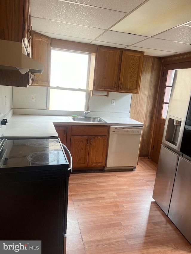 kitchen with white dishwasher, a drop ceiling, sink, and a healthy amount of sunlight