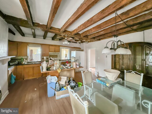 interior space with a baseboard radiator, light hardwood / wood-style floors, and ceiling fan