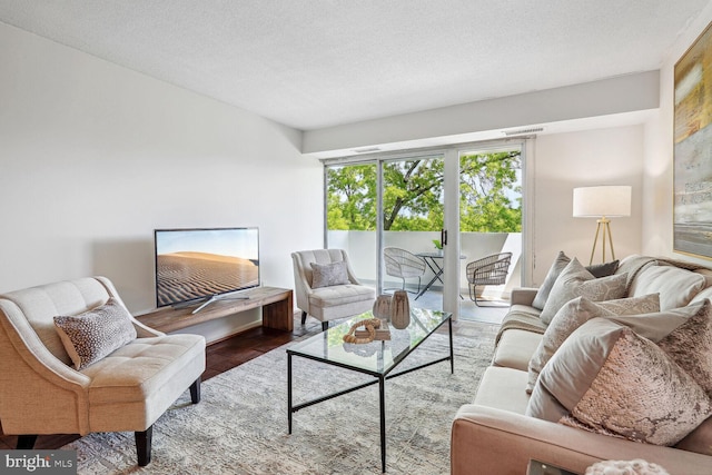 living room with a textured ceiling and hardwood / wood-style floors