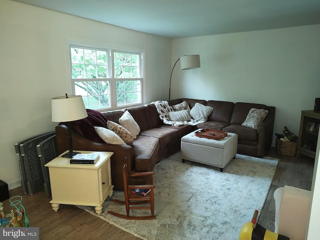 living room with hardwood / wood-style floors and radiator