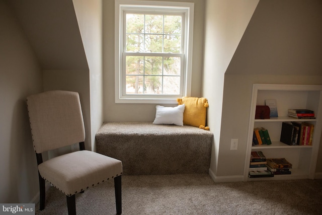 living area with carpet