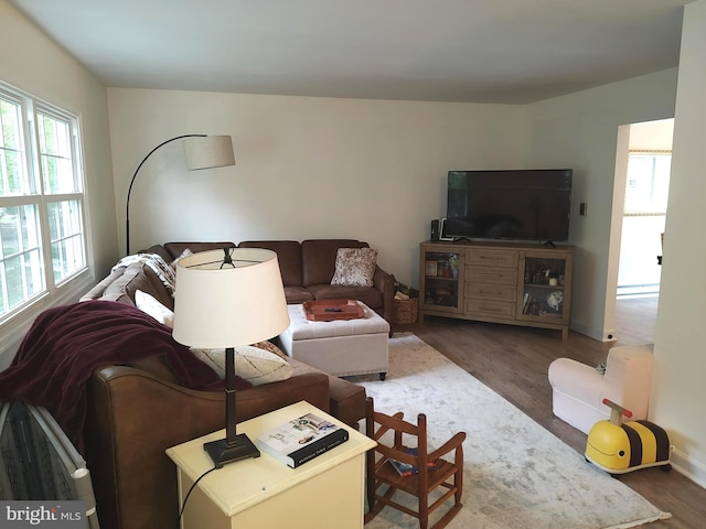 living room with dark hardwood / wood-style flooring