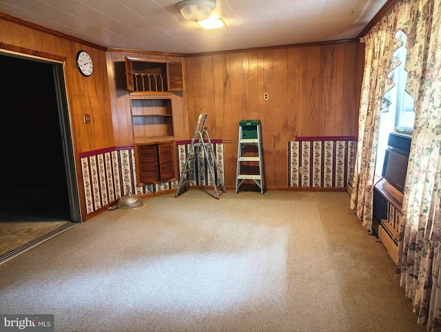 interior space featuring carpet and wood walls