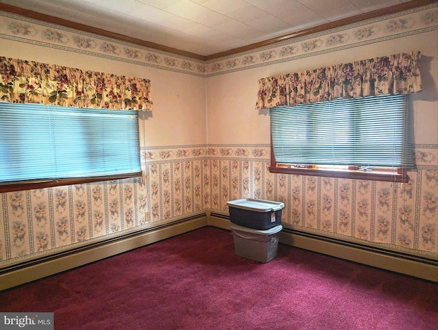 carpeted empty room featuring a baseboard radiator and crown molding