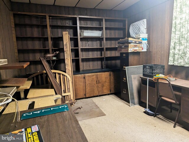 interior space featuring wooden walls and light colored carpet