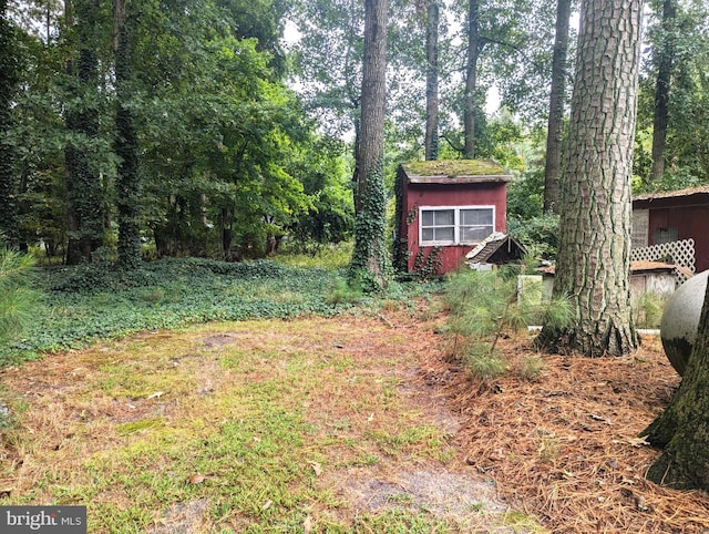 view of yard with a storage unit