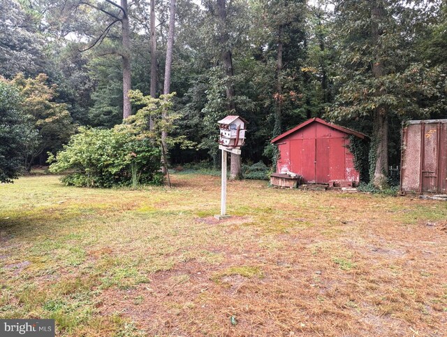 view of yard featuring a storage unit