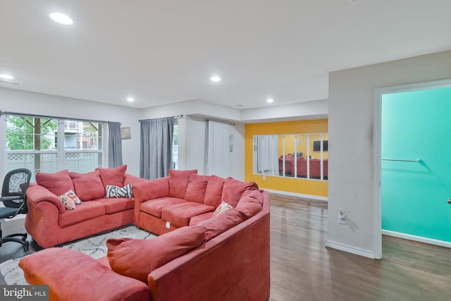 living room featuring hardwood / wood-style floors