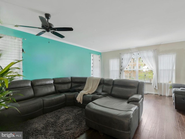 living room featuring ornamental molding, ceiling fan, and dark hardwood / wood-style floors