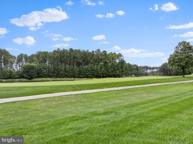 view of community featuring a yard