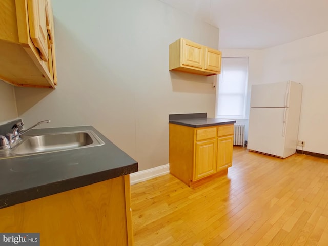 kitchen with light wood-type flooring, sink, radiator heating unit, and white fridge