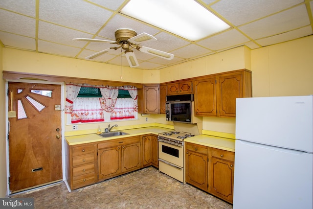 kitchen featuring white appliances, sink, ceiling fan, and a drop ceiling