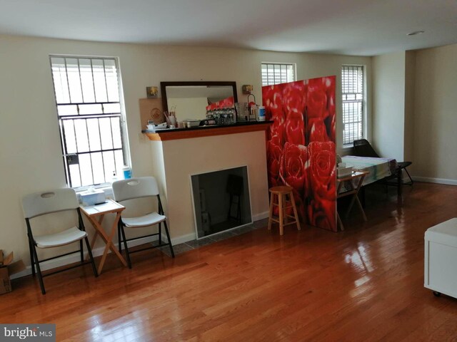 living area with wood-type flooring and a healthy amount of sunlight