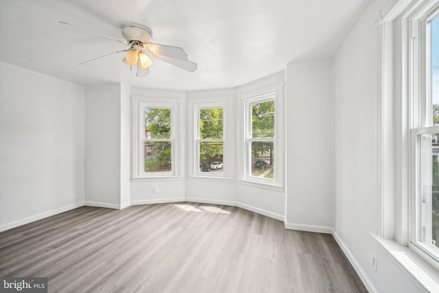 spare room featuring light hardwood / wood-style flooring and ceiling fan