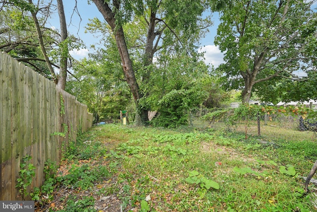 view of yard