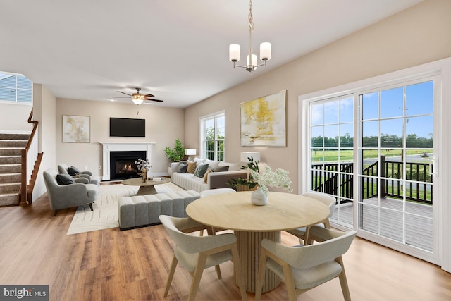 dining area featuring light wood finished floors, stairway, ceiling fan with notable chandelier, and a lit fireplace