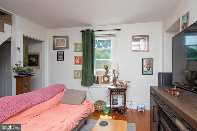 living room featuring dark wood-type flooring