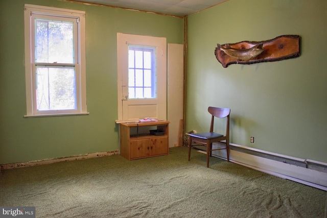 unfurnished room featuring carpet