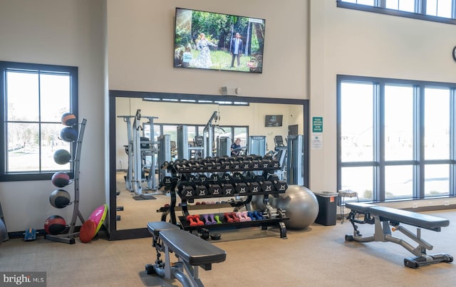 workout area with a wealth of natural light, a towering ceiling, and carpet floors