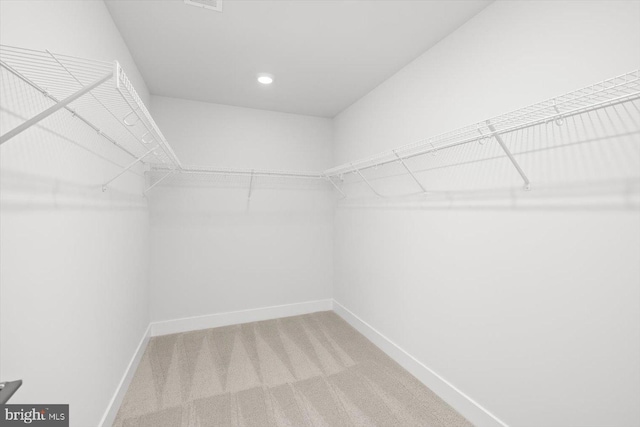 spacious closet featuring carpet flooring