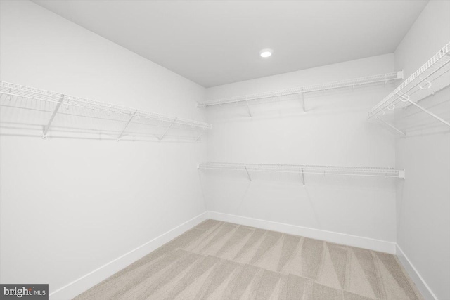 walk in closet with carpet floors