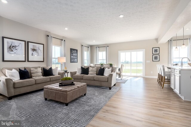 living room with light hardwood / wood-style floors, sink, and a textured ceiling