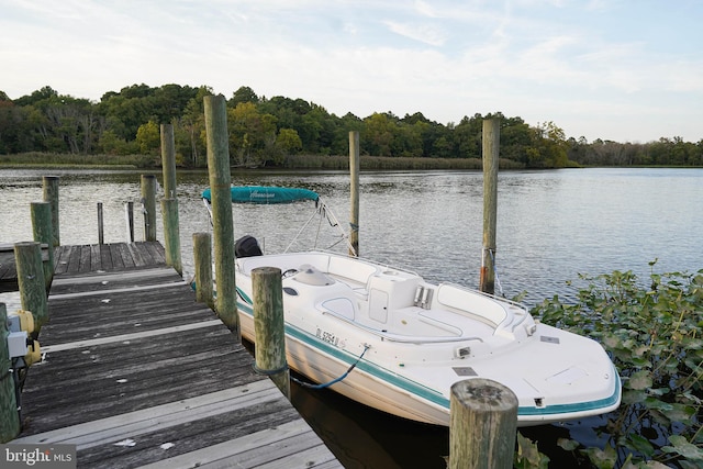 view of dock with a water view