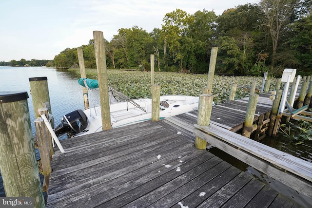 dock area with a water view