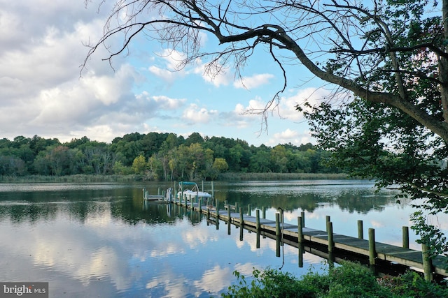 dock area with a water view