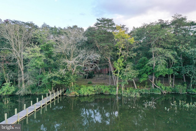 water view with a dock