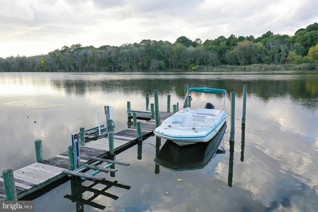 view of dock with a water view