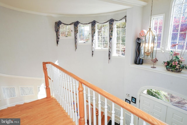 hallway with a wealth of natural light, wood-type flooring, and crown molding