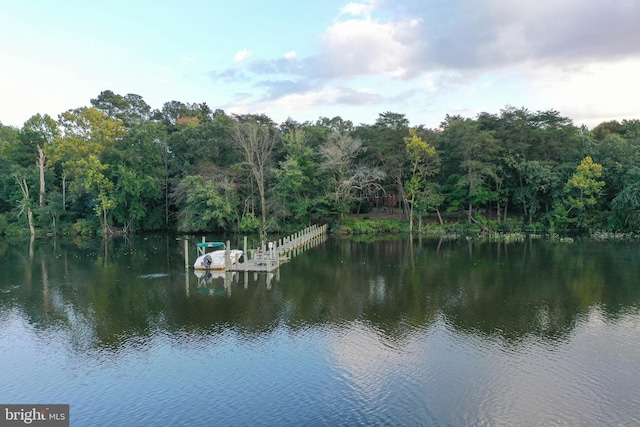 view of water feature with a dock