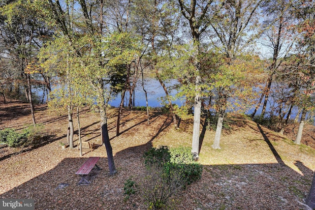 view of yard with a water view