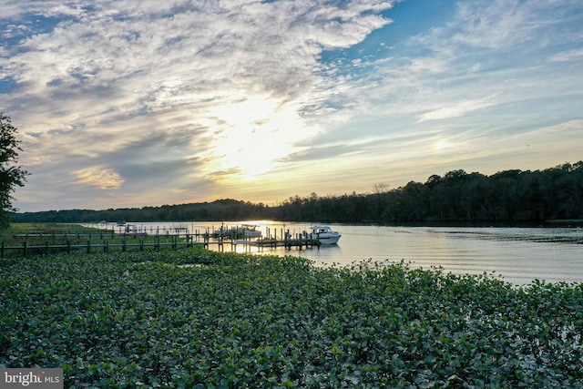 property view of water with a dock