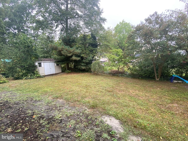 view of yard with a shed