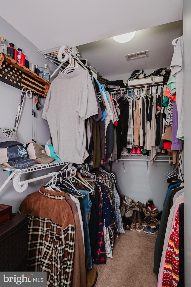 spacious closet featuring carpet floors