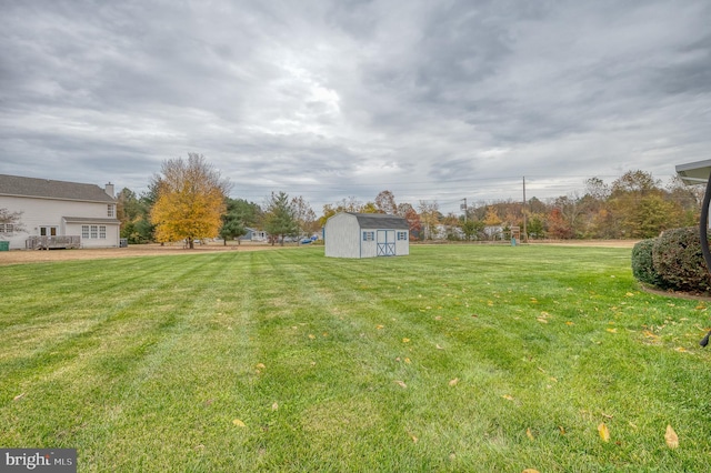 view of yard featuring a storage unit