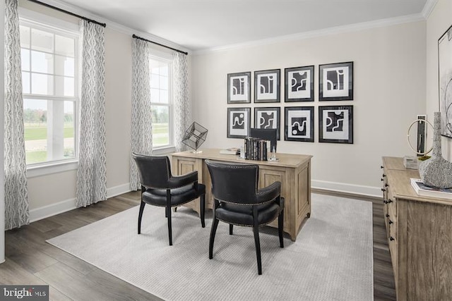 office space with ornamental molding and dark hardwood / wood-style flooring