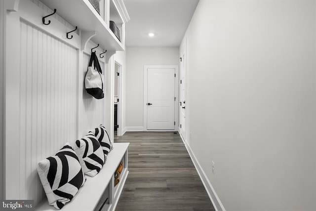 mudroom featuring dark hardwood / wood-style flooring