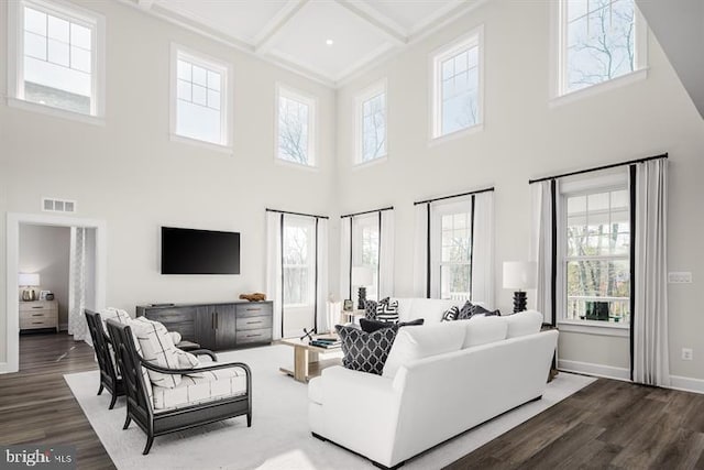 living room with wood-type flooring, plenty of natural light, and a towering ceiling