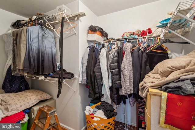 view of spacious closet