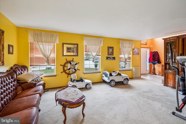 living room featuring carpet flooring