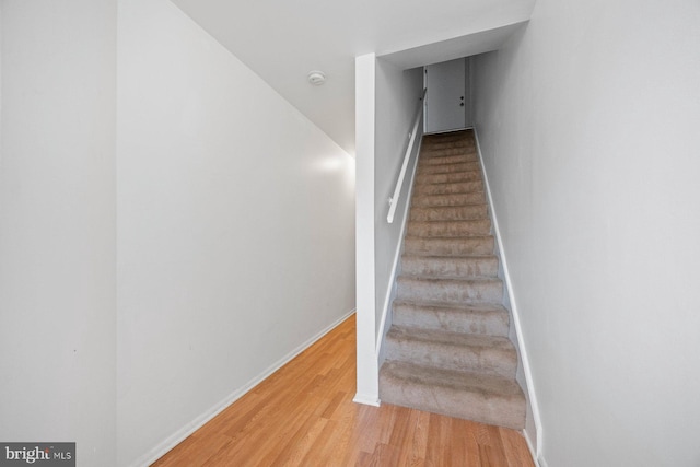 staircase with hardwood / wood-style floors