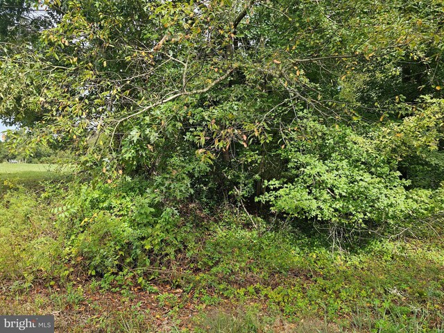 00000 Bushwood, Bushwood, MD 20618