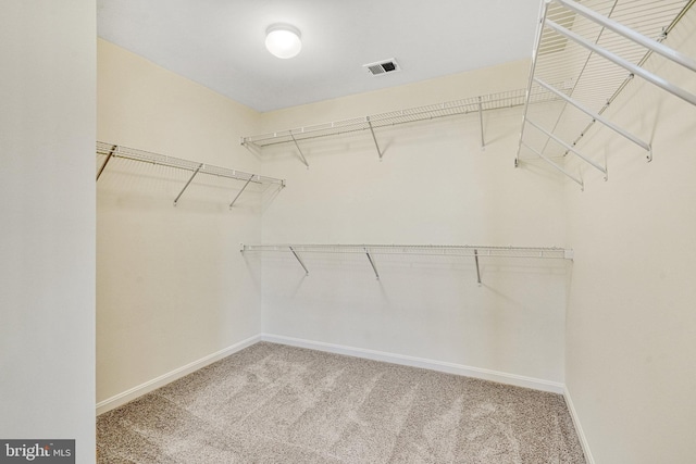 118 Pawn Ct, Winchester, VA 22602 - walk in closet featuring carpet