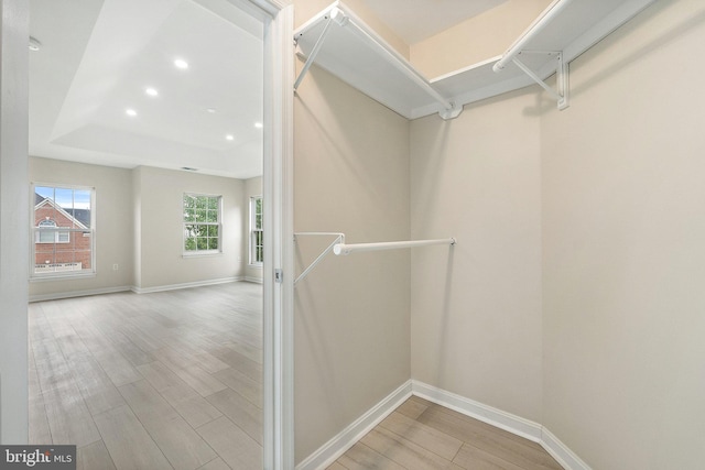 spacious closet with light hardwood / wood-style flooring