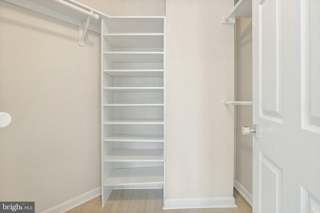 walk in closet featuring light wood-type flooring