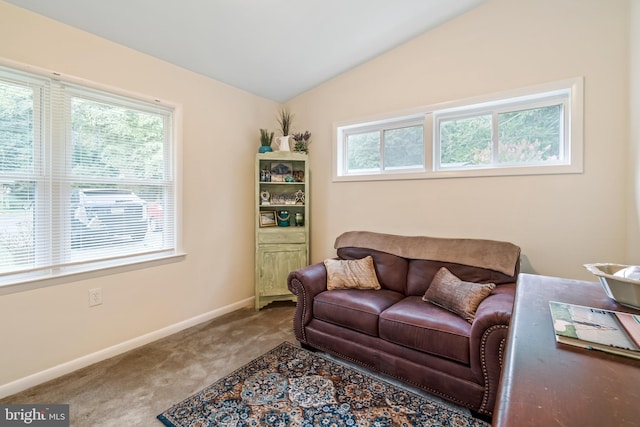 living area with carpet flooring and vaulted ceiling